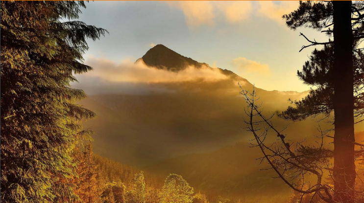 NUEVA EXPOSICIÓN TEMPORAL: BIZKAIA, NATURALEZA SUBLIME (SANTI YANIZ)