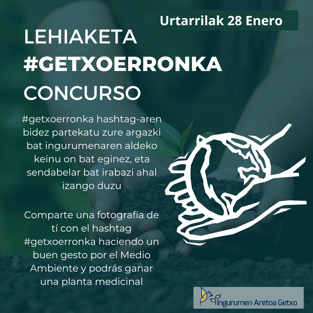 ¡Ya tenemos lista la programación de enero!