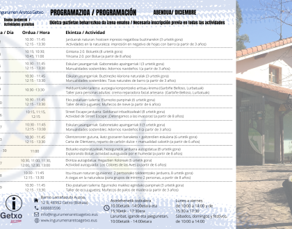 ACTIVIDADES DE DICIEMBRE