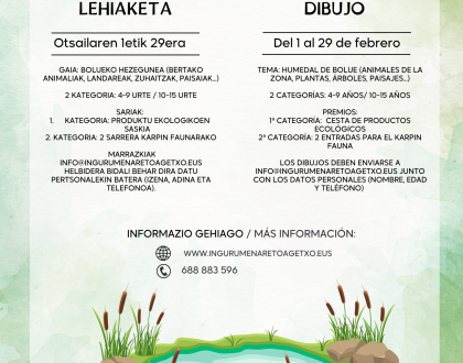 Programación de febrero