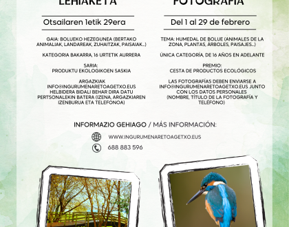 Otsaileko programazioa