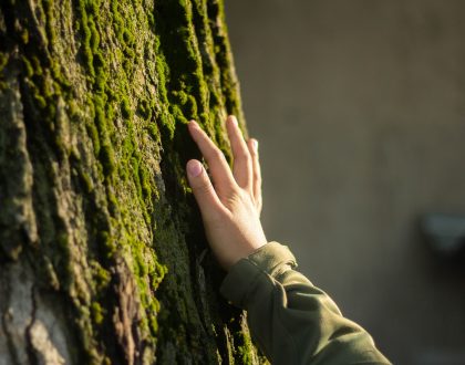 DÍA MUNDIAL DE LA EDUCACIÓN AMBIENTAL