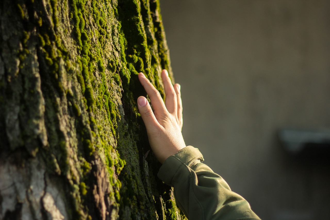 DÍA MUNDIAL DE LA EDUCACIÓN AMBIENTAL