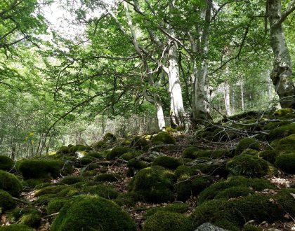 11 nuevas Reservas de la Biosfera en el Planeta