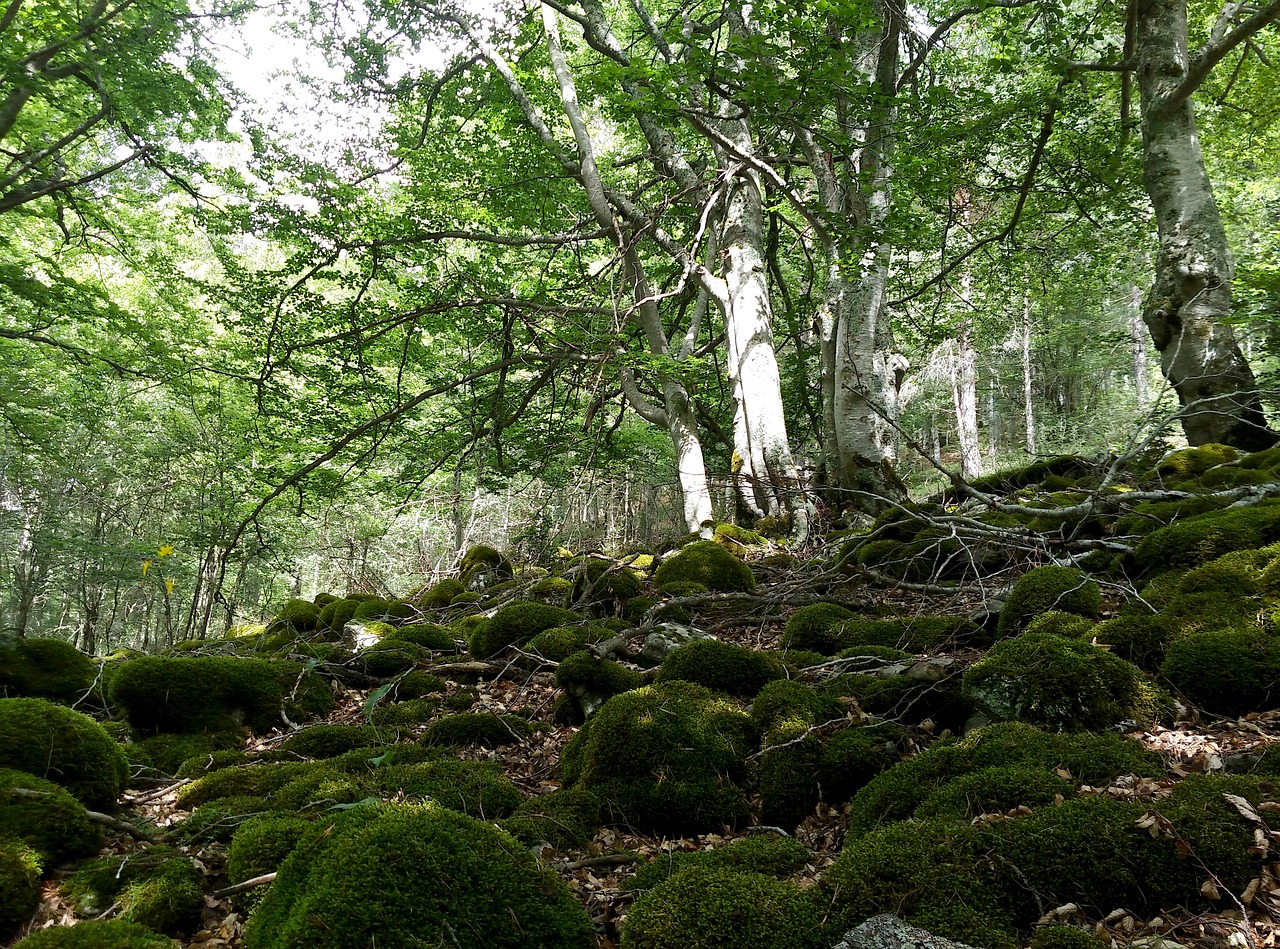11 Biosfera erreserba berri Planetan