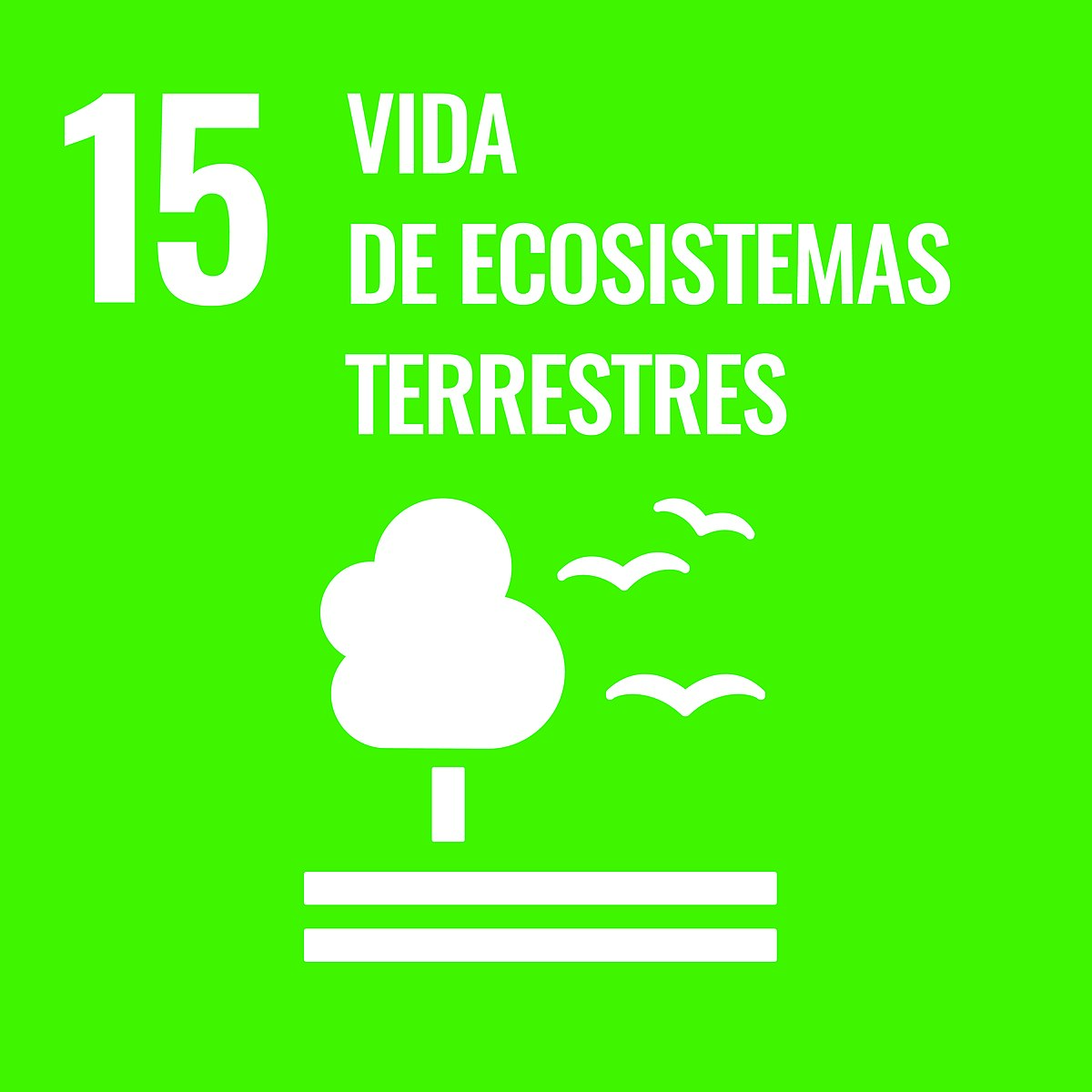 AGENDA 2030 ESCOLAR: ODS 15, VIDA DE ECOSISTEMAS TERRESTRES