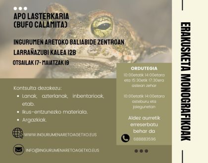 Baliabide Zentroko erakusketa monografikoak: Apo lasterkaria