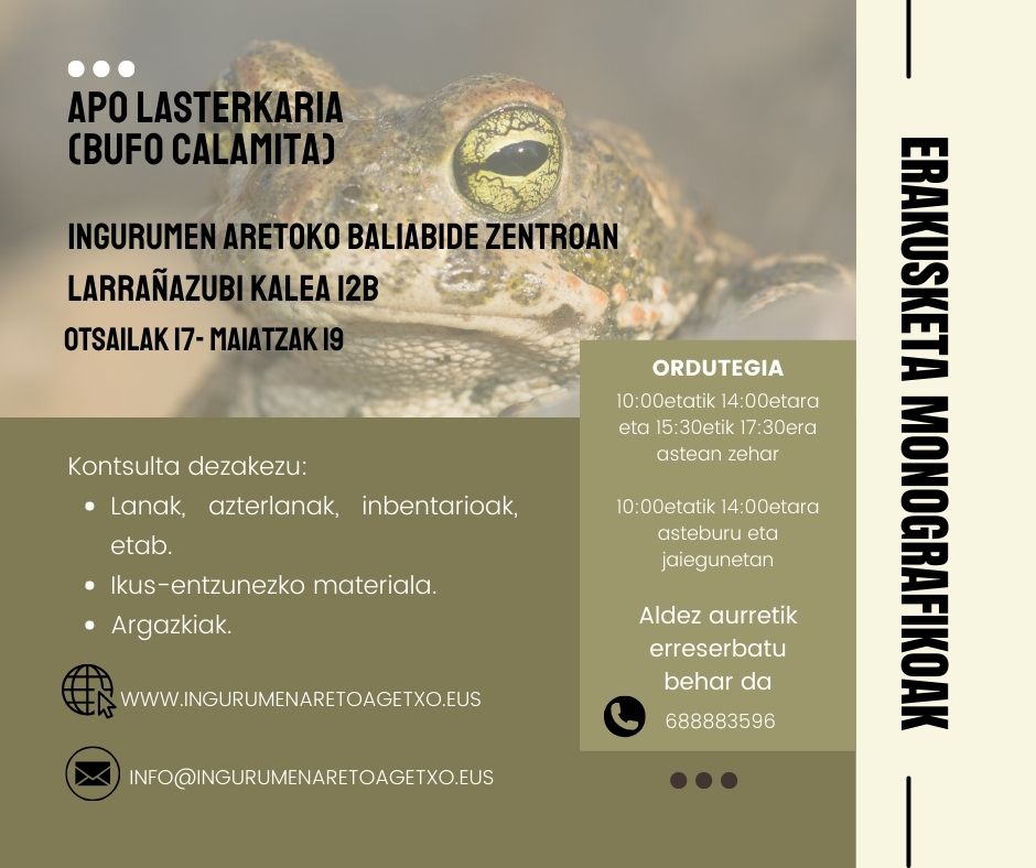 Baliabide Zentroko erakusketa monografikoak: Apo lasterkaria