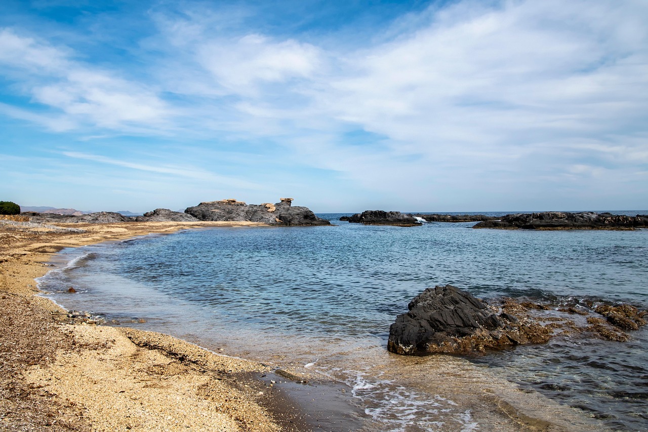 La amenaza del alga invasora Rugulopteryx okamurae en Bizkaia