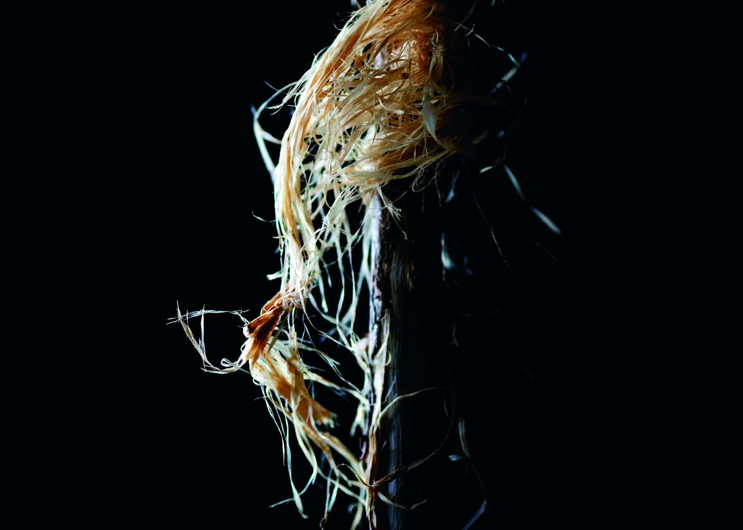 "Jitoan dagoen Natura", Sonia Bousoren erakusketa berria Ingurumen Aretoan